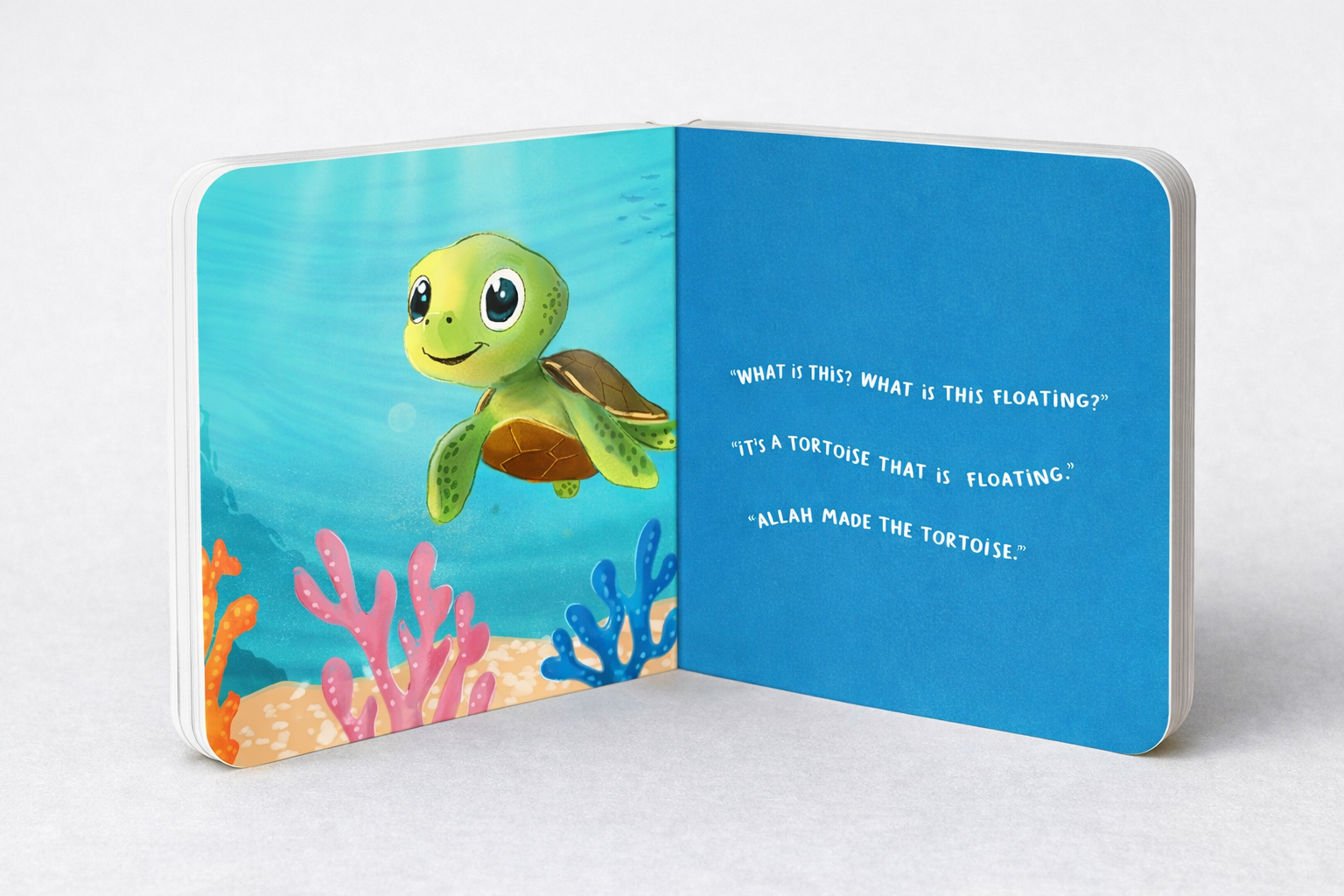 Ocean Wonders