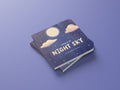 I looked at the night sky